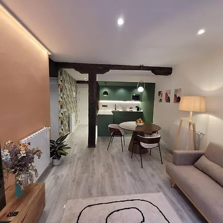 Appartamento Piso Boutique A Un Minuto Del Casco Viejo